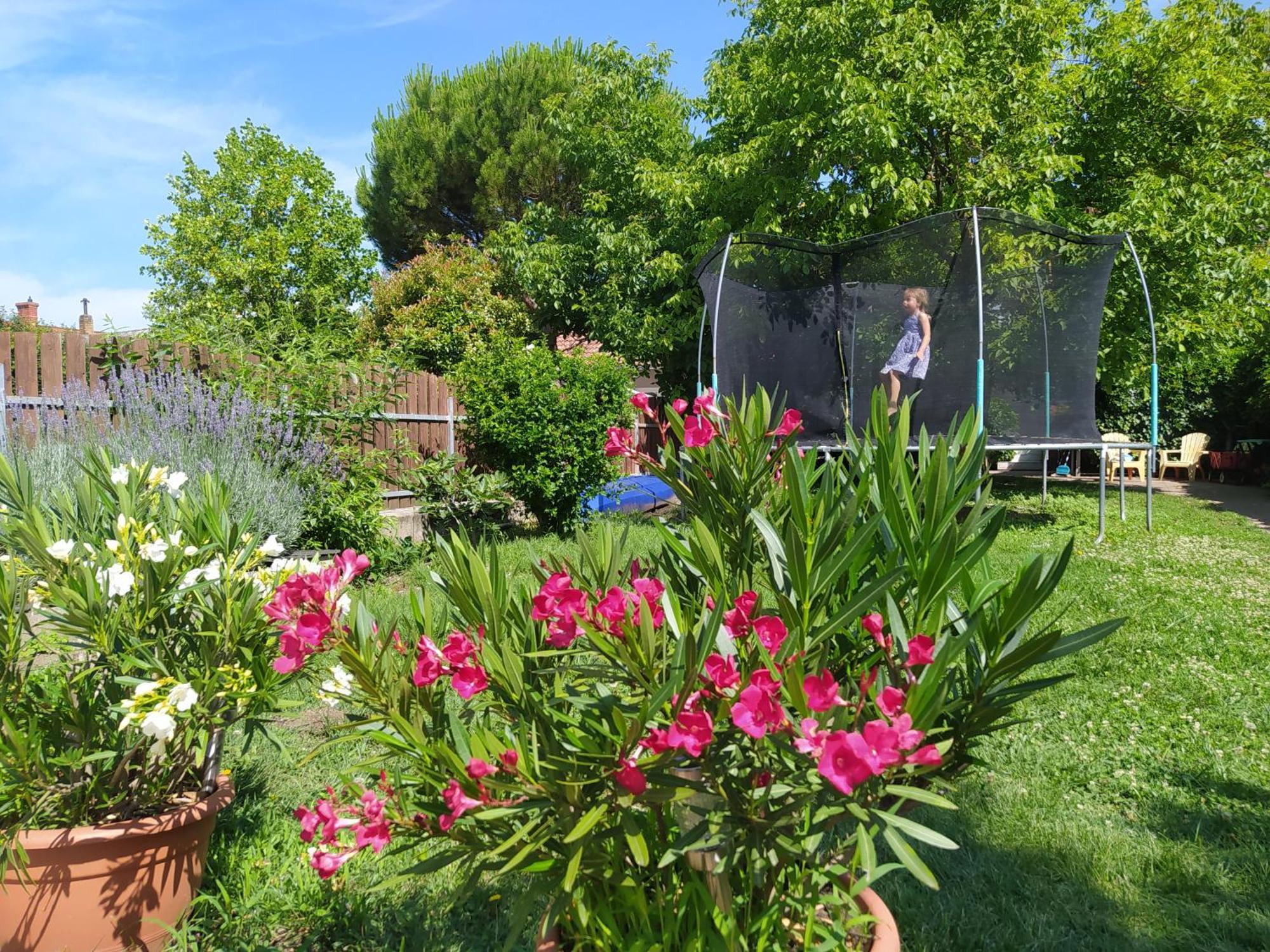 Flora House 3 Minutes From Lake Balaton Кестхей Екстер'єр фото